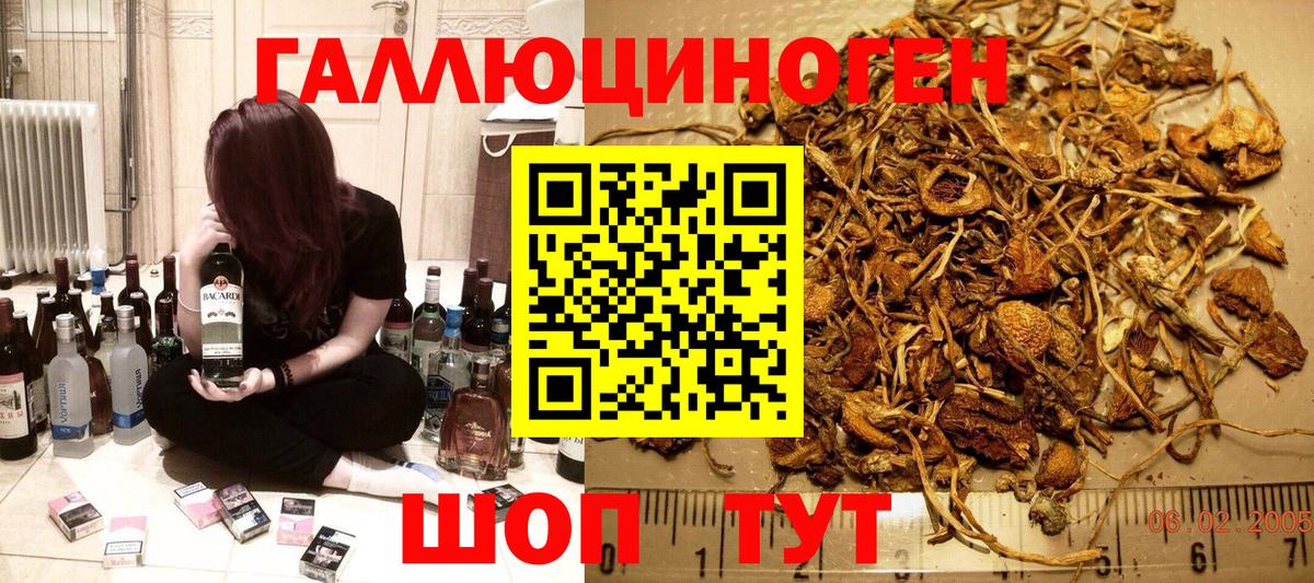 Киреевск  цена   Вход с VPN  Галлюциногенные грибы GOLDEN TEACHER  Псилоцибиновые грибы Psilocybine cubensis 
